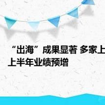“出海”成果显著 多家上市公司上半年业绩预增