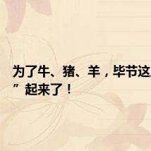 为了牛、猪、羊,毕节这里“打”起来了!