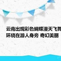 云南出现彩色蝴蝶漫天飞舞奇观:环绕在游人身旁 奇幻美丽