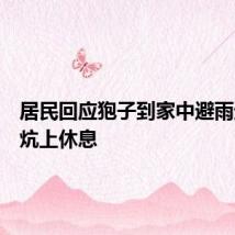 居民回应狍子到家中避雨进屋躺炕上休息