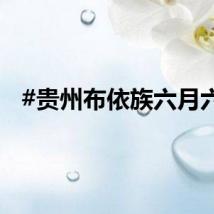 #贵州布依族六月六#
