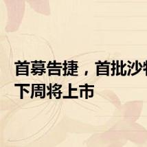 首募告捷，首批沙特ETF下周将上市