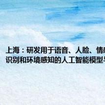 上海：研发用于语音、人脸、情感、动作识别和环境感知的人工智能模型与算法