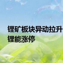 锂矿板块异动拉升 盛新锂能涨停