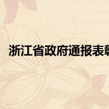 浙江省政府通报表彰！