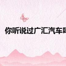 你听说过广汇汽车吗？