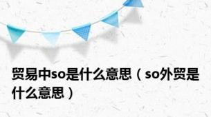 贸易中so是什么意思（so外贸是什么意思）