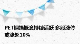 PET铜箔概念持续活跃 多股涨停或涨超10%