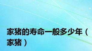 家猪的寿命一般多少年（家猪）