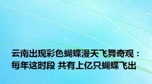 云南出现彩色蝴蝶漫天飞舞奇观：每年这时段 共有上亿只蝴蝶飞出