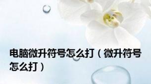 电脑微升符号怎么打（微升符号怎么打）
