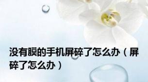 没有膜的手机屏碎了怎么办（屏碎了怎么办）