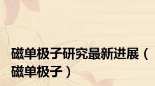 磁单极子研究最新进展（磁单极子）