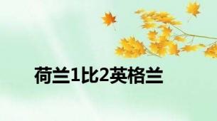 荷兰1比2英格兰