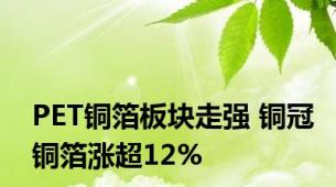 PET铜箔板块走强 铜冠铜箔涨超12%