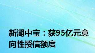 新湖中宝：获95亿元意向性授信额度