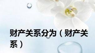 财产关系分为（财产关系）