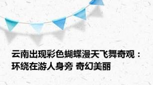 云南出现彩色蝴蝶漫天飞舞奇观：环绕在游人身旁 奇幻美丽