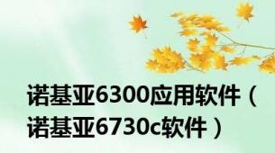 诺基亚6300应用软件（诺基亚6730c软件）