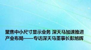 聚焦中小尺寸显示业务 深天马加速推进产业布局——专访深天马董事长彭旭辉
