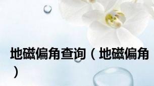 地磁偏角查询（地磁偏角）
