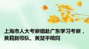 上海市人大考察组赴广东学习考察，黄莉新带队、黄楚平陪同