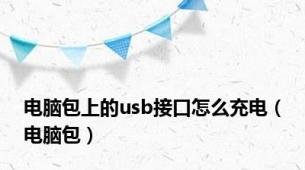 电脑包上的usb接口怎么充电（电脑包）