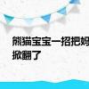 熊猫宝宝一招把妈妈给掀翻了