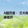 A股开盘： 三大指数集体低开
