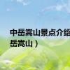 中岳嵩山景点介绍（中岳嵩山）