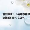 洛阳钼业：上半年净利润预增同比增加638%-716%