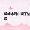 鹤峰木耳山现丁达尔效应
