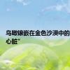 鸟瞰镶嵌在金色沙漠中的“地球心脏”