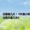 还要等几天！ #外国小哥问中国过两天是几天#