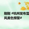 刚刚 #杭州发布雷暴大风黄色预警#