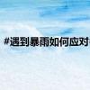 #遇到暴雨如何应对# ？
