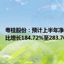 粤桂股份:预计上半年净利润同比增长184.72%至283.76%