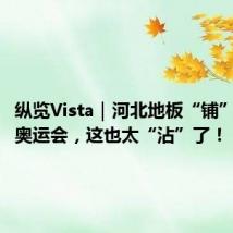 纵览Vista|河北地板“铺”进巴黎奥运会,这也太“沾”了!