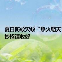 夏日防蚊灭蚊“热火朝天” 这些妙招请收好