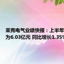 莱克电气业绩快报:上半年净利润为6.03亿元 同比增长1.35%