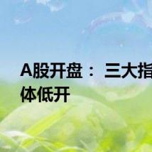 A股开盘: 三大指数集体低开