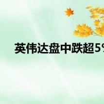 英伟达盘中跌超5%
