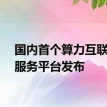 国内首个算力互联公共服务平台发布