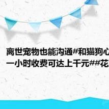 离世宠物也能沟通#和猫狗心灵沟通一小时收费可达上千元##花上