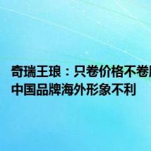 奇瑞王琅:只卷价格不卷服务 对中国品牌海外形象不利