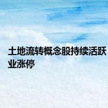 土地流转概念股持续活跃 永安林业涨停