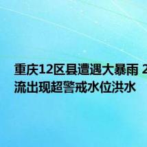 重庆12区县遭遇大暴雨 29条河流出现超警戒水位洪水