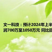 文一科技:预计2024年上半年净利润700万至1050万元 同比扭亏为盈