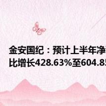 金安国纪:预计上半年净利润同比增长428.63%至604.85%