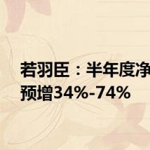 若羽臣:半年度净利润预增34%-74%